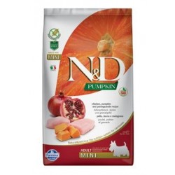 ND Pumpkin DOG Adult Mini...